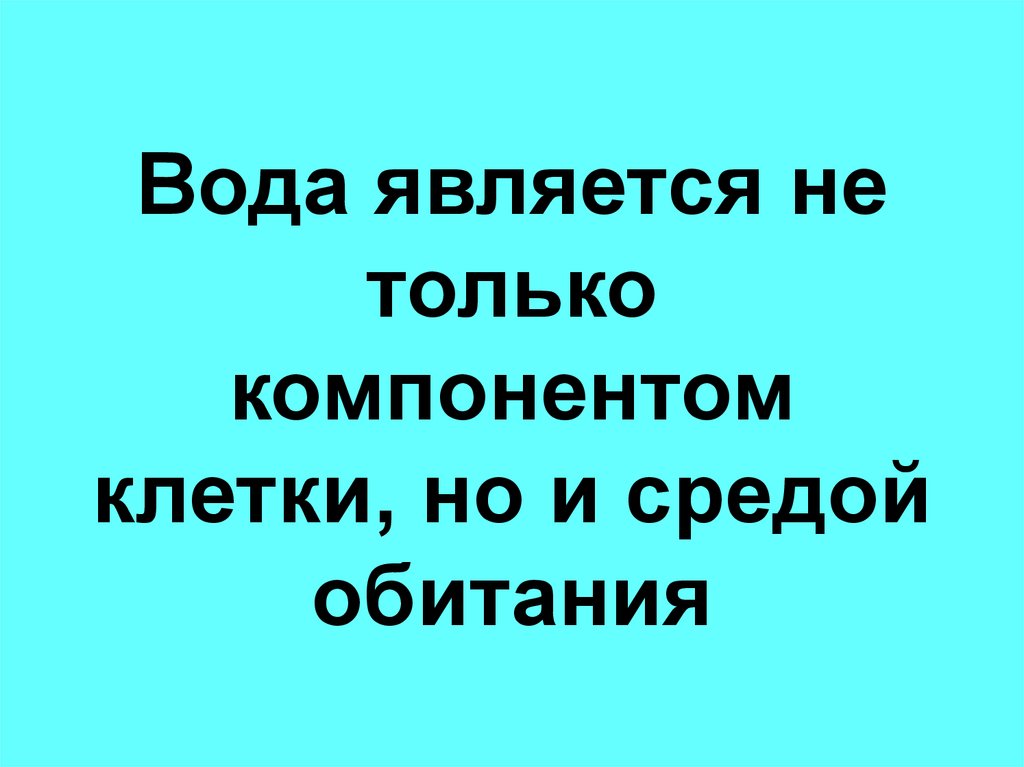 Вода является не только компонентом клетки, но и средой обитания