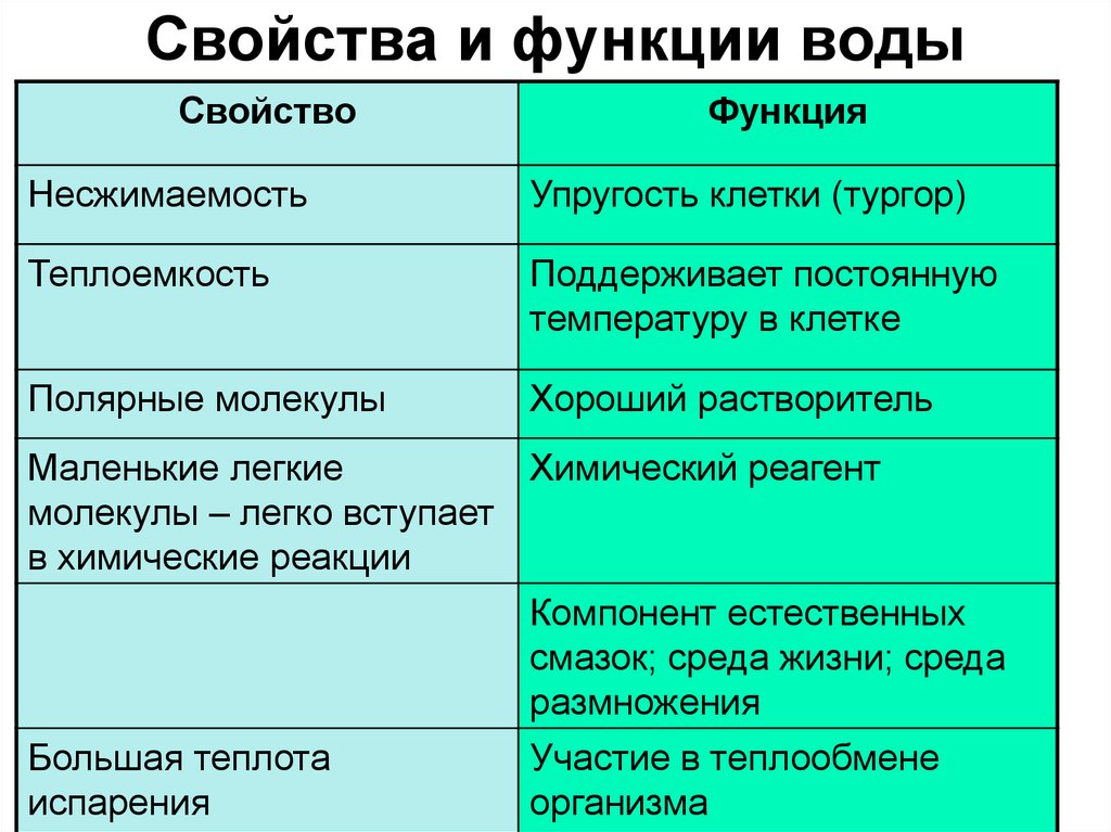 Свойства и функции воды