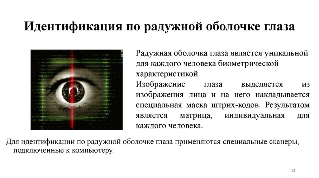 Идентификация по радужной оболочке глаза