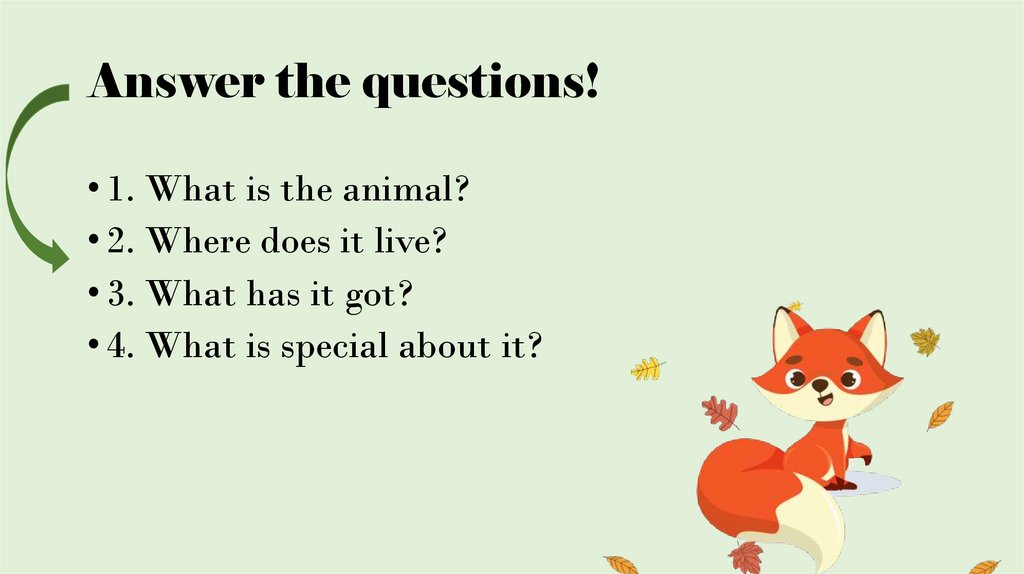 Answer the questions!