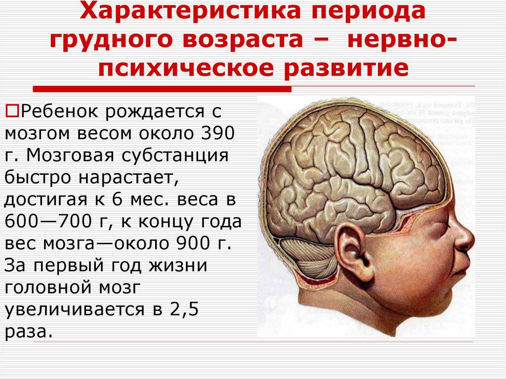 Характеристика периода грудного возраста – нервно-психическое развитие