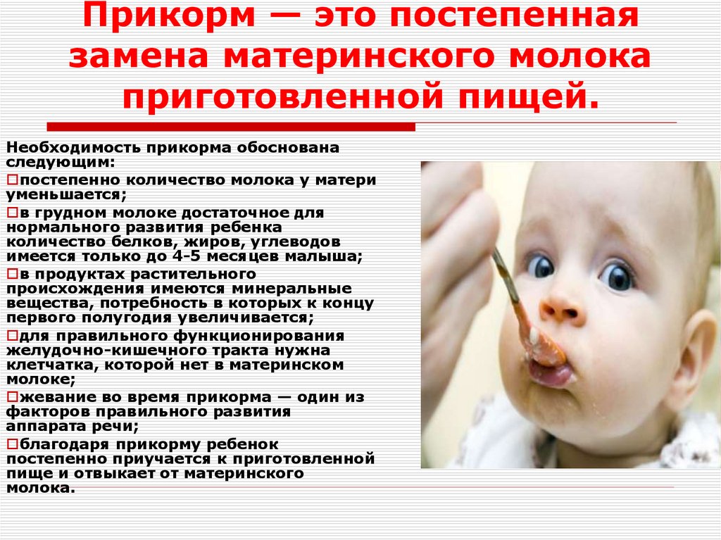 Прикорм — это постепенная замена материнского молока приготовленной пищей.