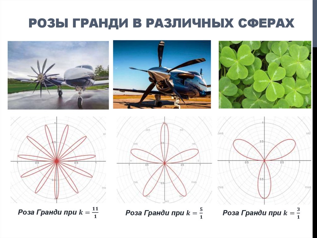 РОЗЫ ГРАНДИ В РАЗЛИЧНЫХ СФЕРАХ