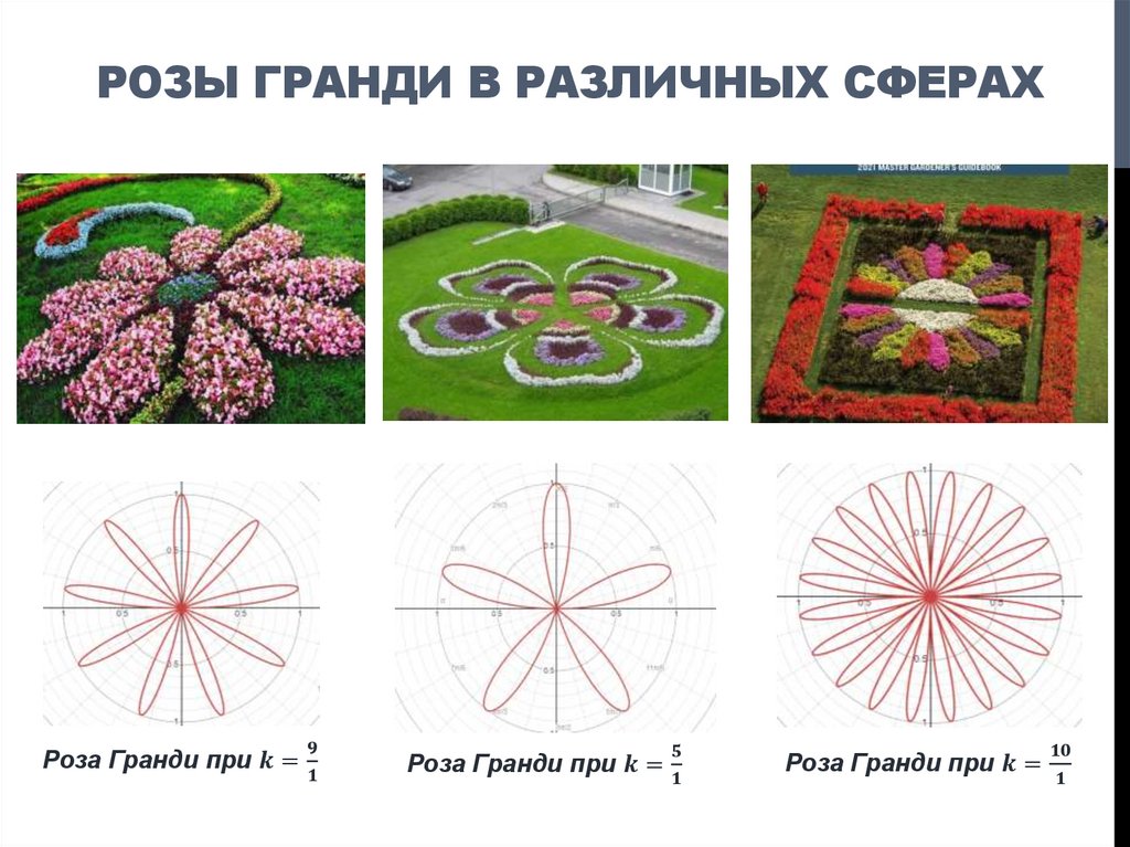 РОЗЫ ГРАНДИ В РАЗЛИЧНЫХ СФЕРАХ