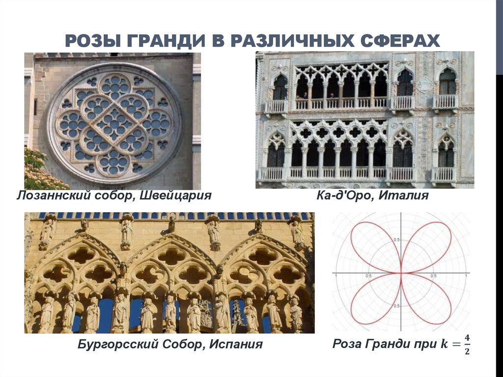 РОЗЫ ГРАНДИ В РАЗЛИЧНЫХ СФЕРАХ