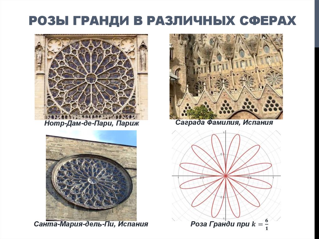 РОЗЫ ГРАНДИ В РАЗЛИЧНЫХ СФЕРАХ