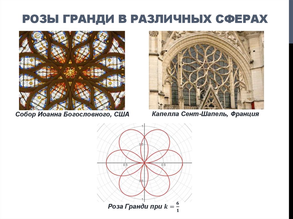 РОЗЫ ГРАНДИ В РАЗЛИЧНЫХ СФЕРАХ