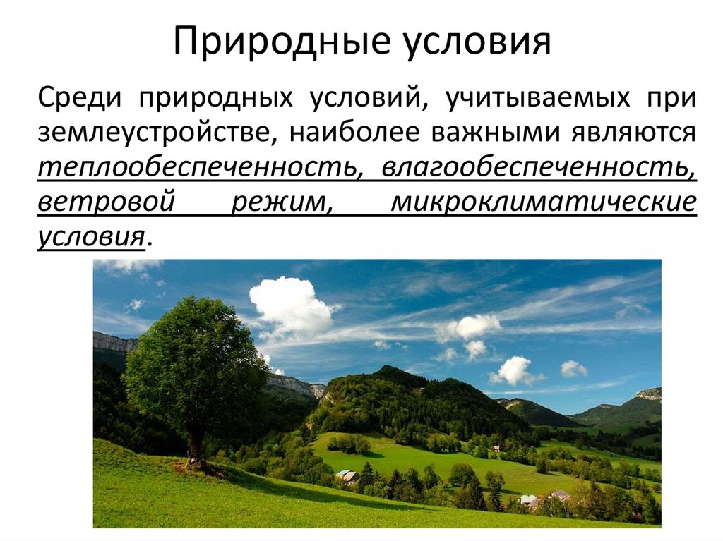Природные условия