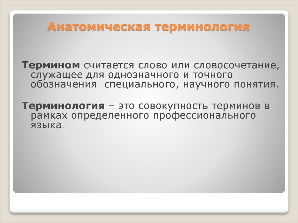 Анатомическая терминология