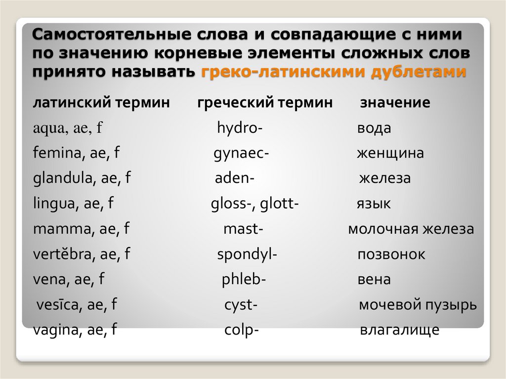 Самостоятельные слова и совпадающие с ними по значению корневые элементы сложных слов принято называть греко-латинскими