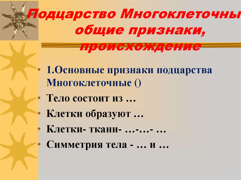 Подцарство Многоклеточные: общие признаки, происхождение