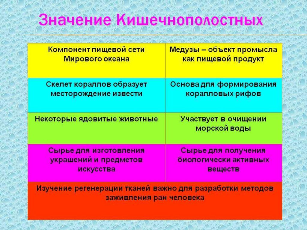 Размножение