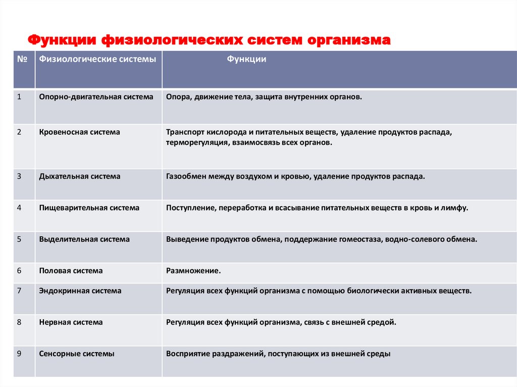 Функции физиологических систем организма