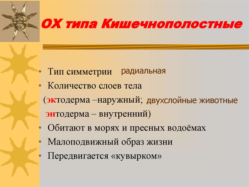 ОХ типа Кишечнополостные