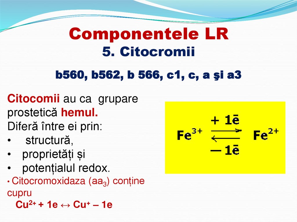 Componentele LR 5. Citocromii