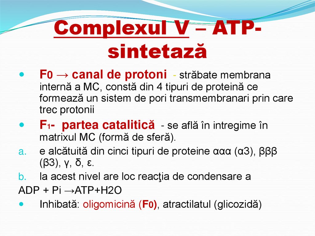 Complexul V – ATP-sintetază