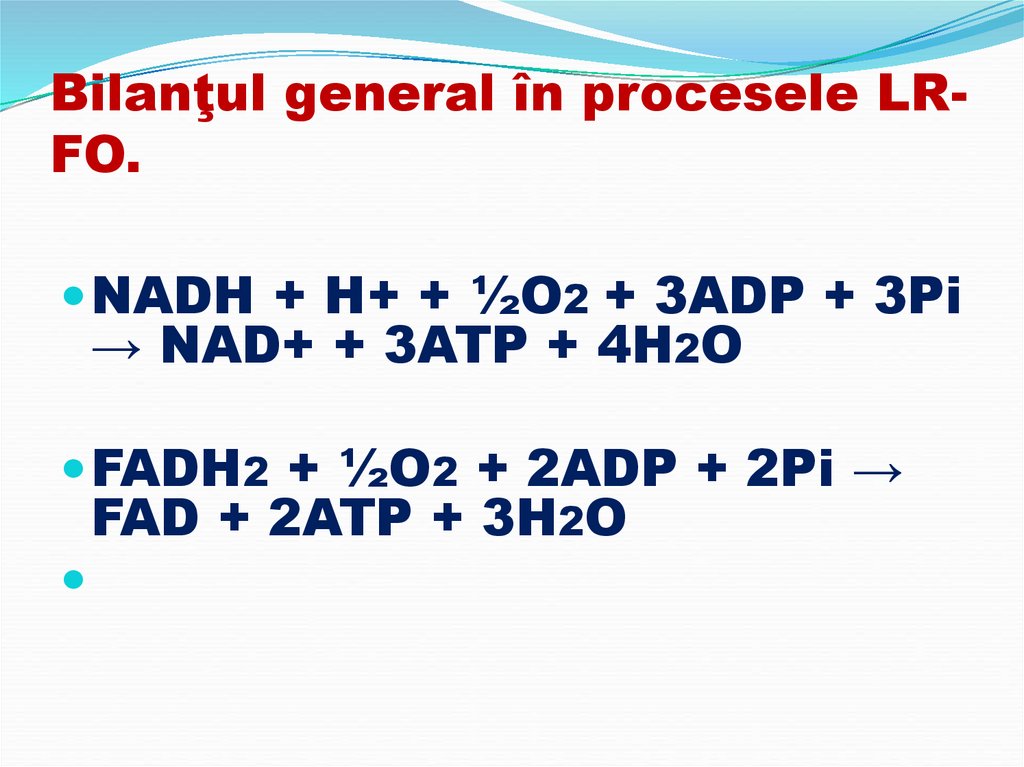 Bilanţul general în procesele LR-FO.