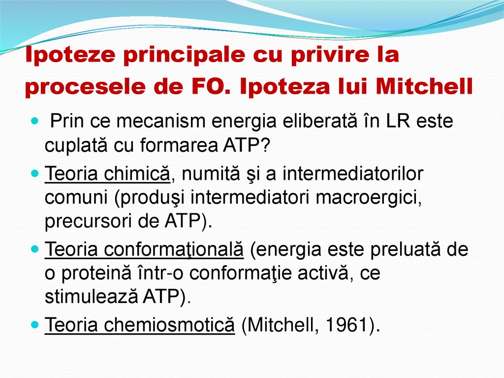 Ipoteze principale cu privire la procesele de FO. Ipoteza lui Mitchell