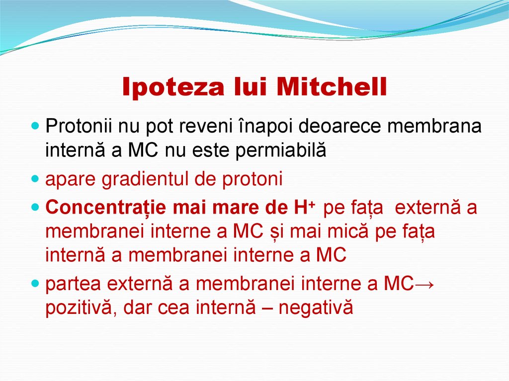 Ipoteza lui Mitchell