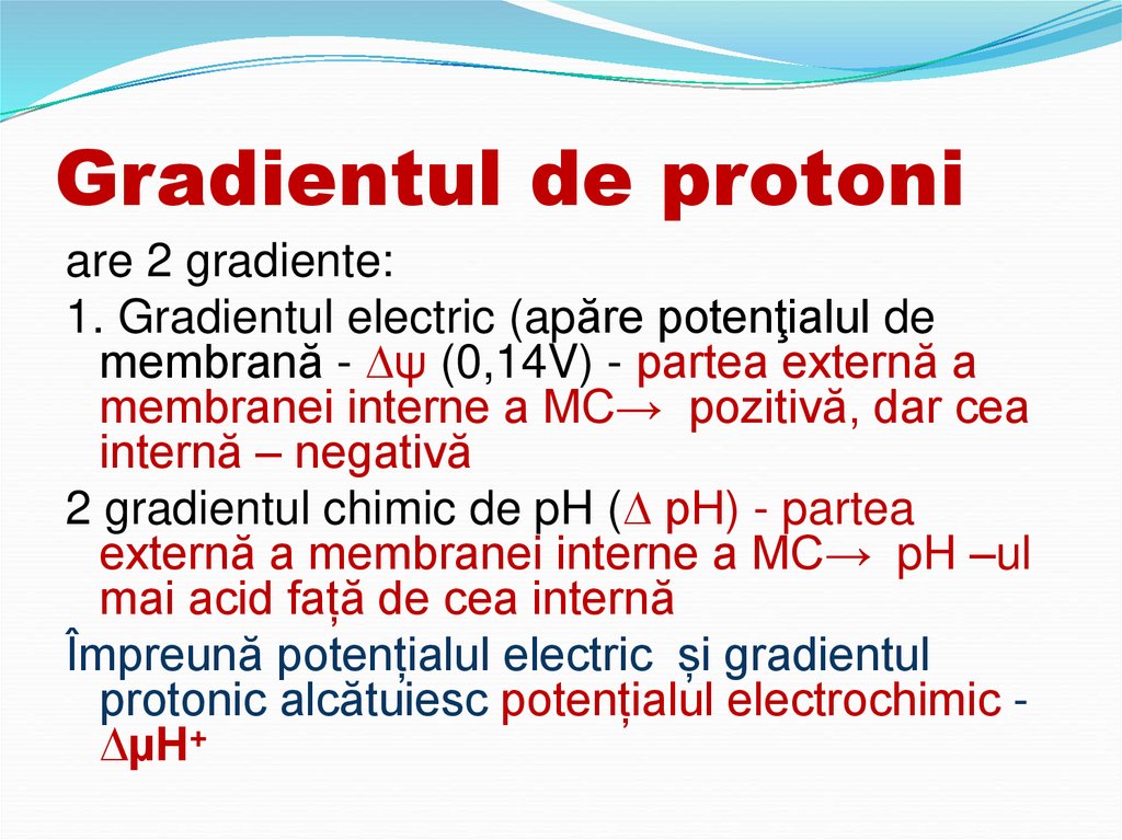 Gradientul de protoni