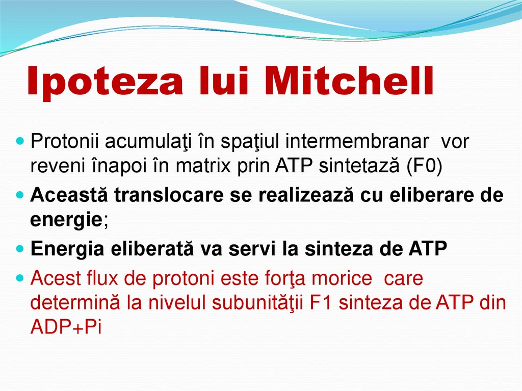 Ipoteza lui Mitchell