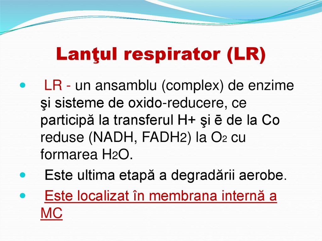 Lanţul respirator (LR)