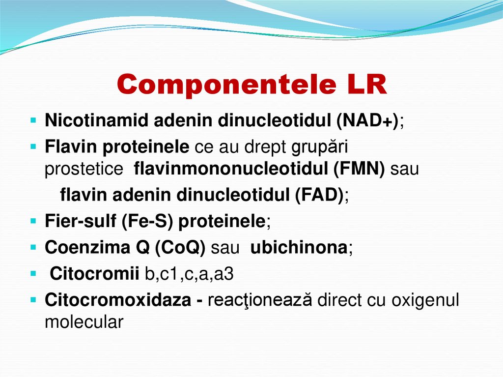 Componentele LR
