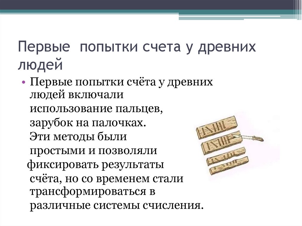 Первые попытки счета у древних людей