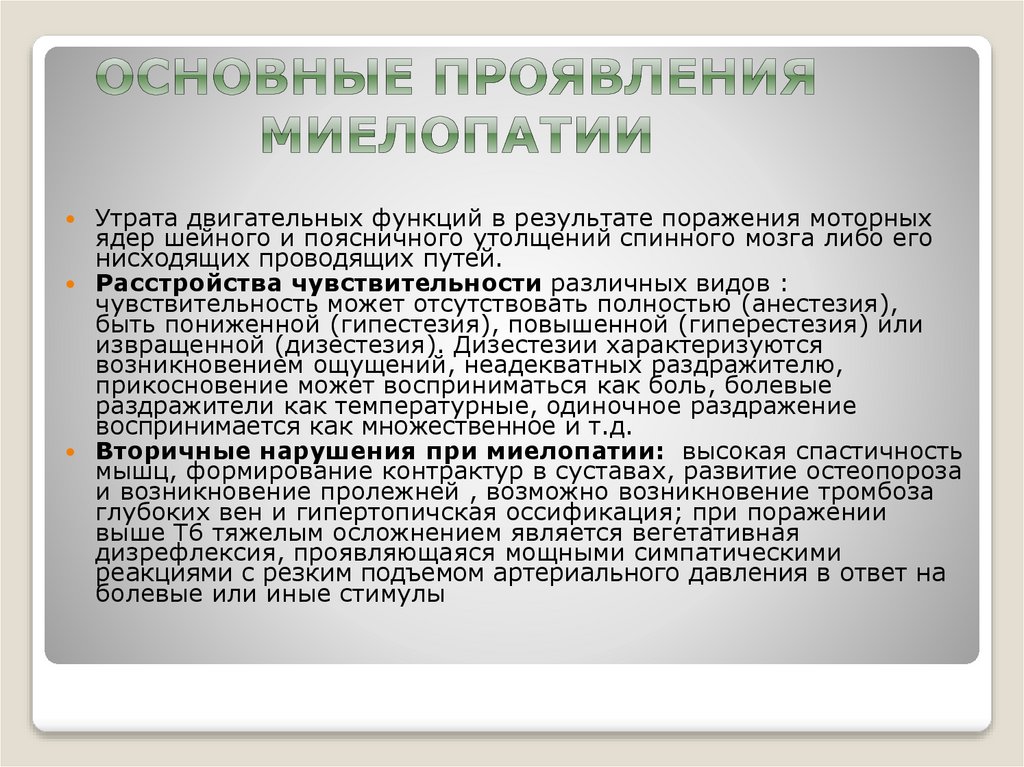 Основные проявления миелопатии