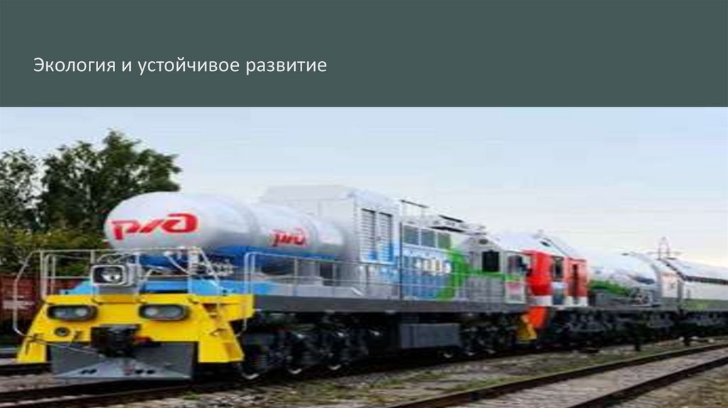 Экология и устойчивое развитие