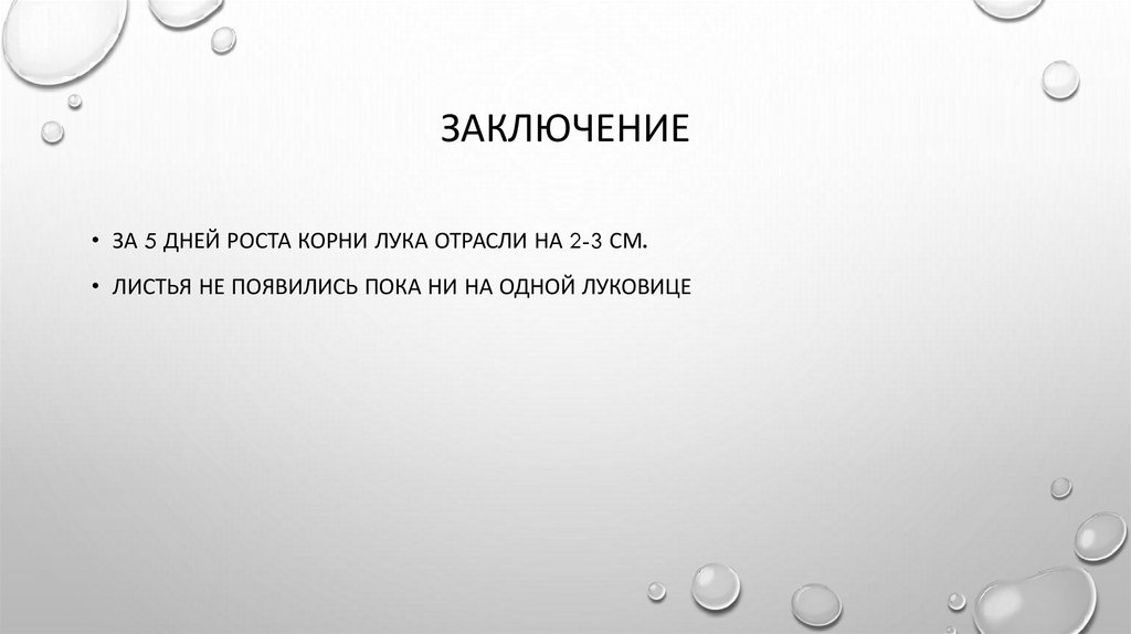 Заключение