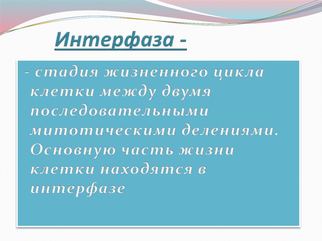 Интерфаза -