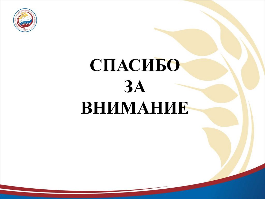 СПАСИБО ЗА ВНИМАНИЕ