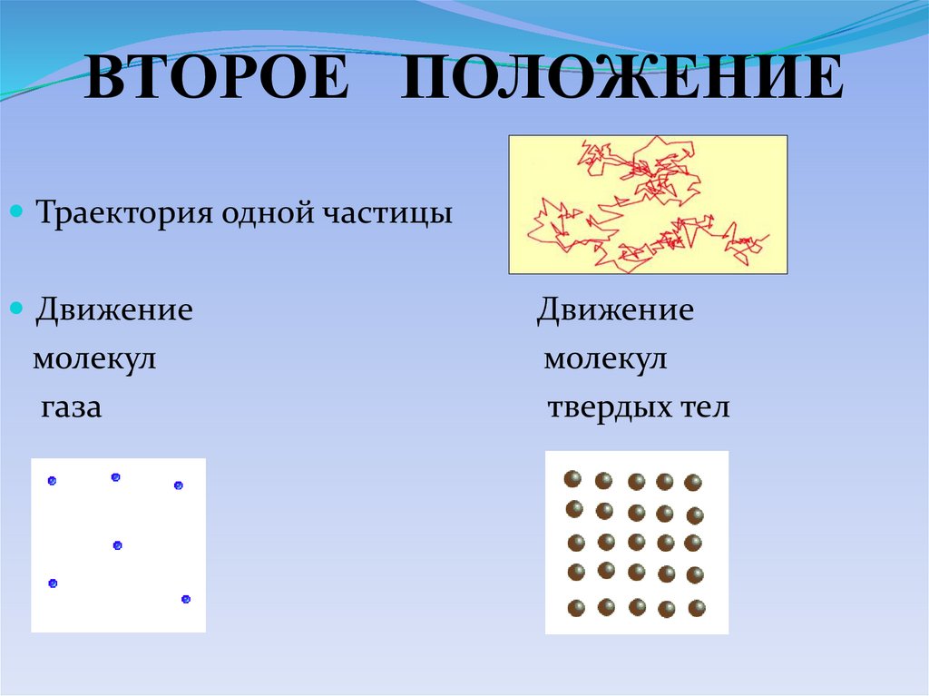 ВТОРОЕ ПОЛОЖЕНИЕ