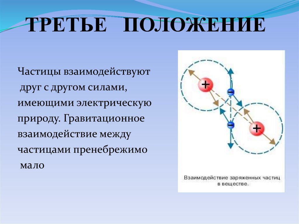 ТРЕТЬЕ ПОЛОЖЕНИЕ