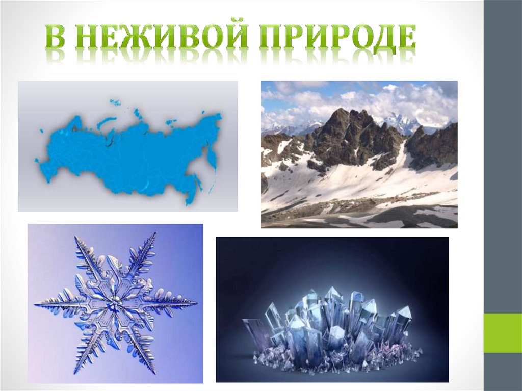 В неживой природе