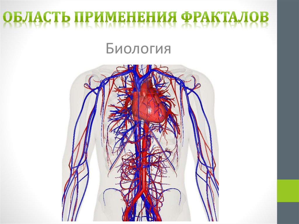 Область применения фракталов