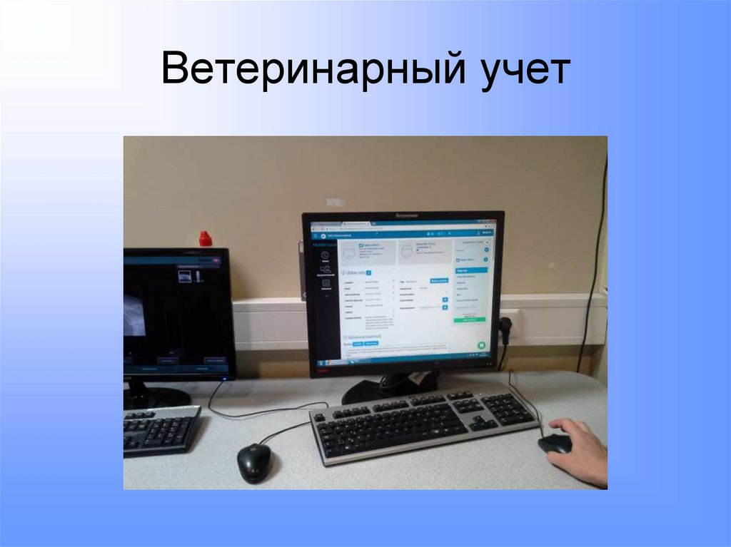 Ветеринарный учет
