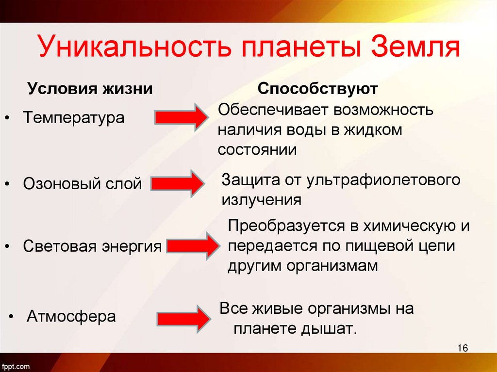 Уникальность планеты Земля