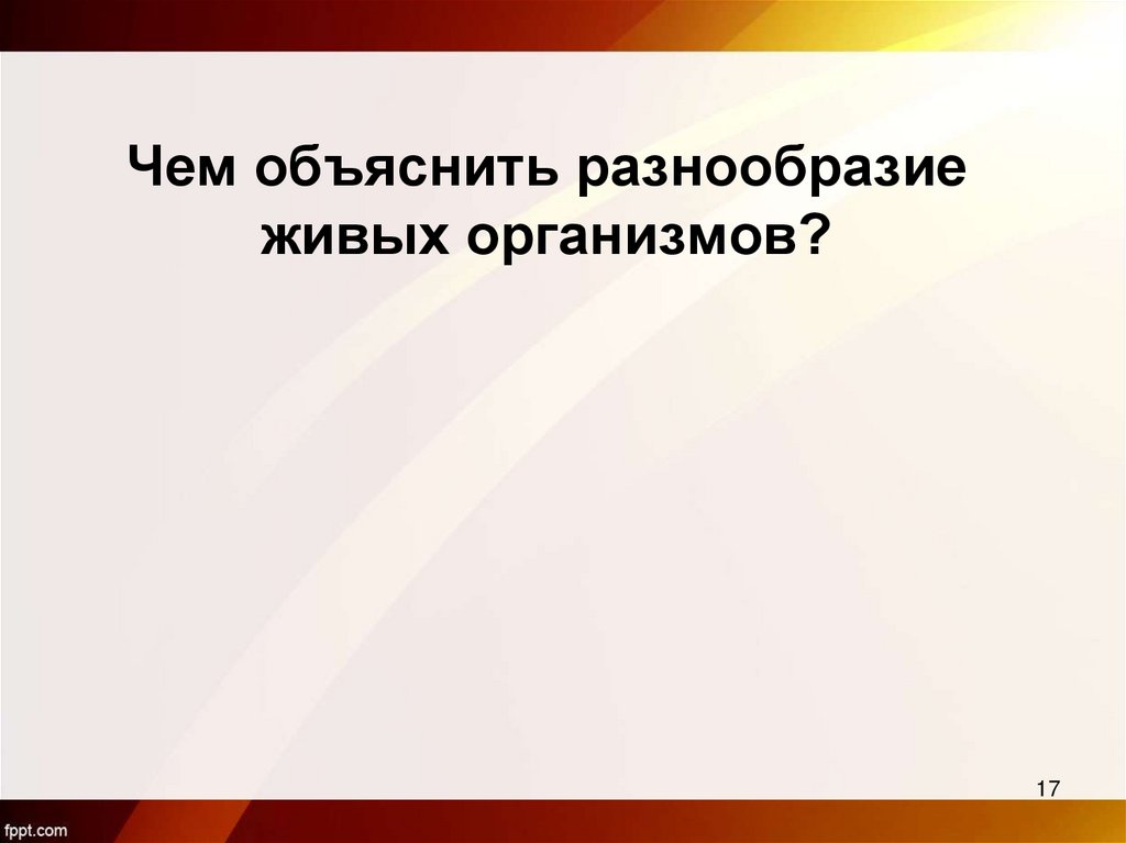 Чем объяснить разнообразие живых организмов?