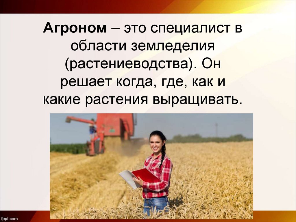 Агроном – это специалист в области земледелия (растениеводства). Он решает когда, где, как и какие растения выращивать.