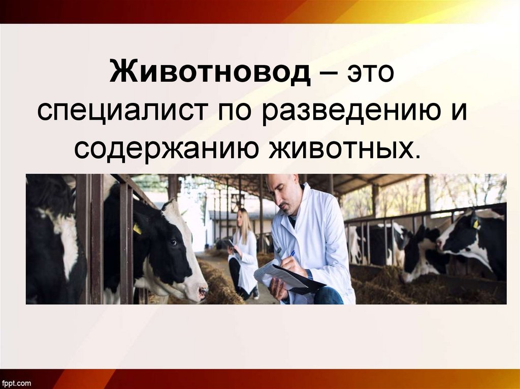 Животновод – это специалист по разведению и содержанию животных. 