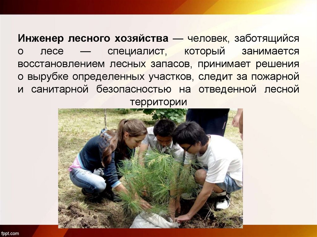 Инженер лесного хозяйства — человек, заботящийся о лесе — специалист, который занимается восстановлением лесных запасов,