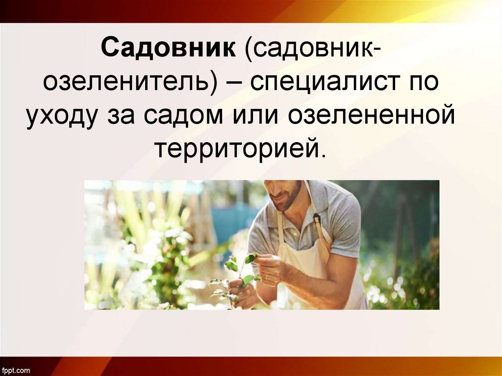 Садовник (садовник-озеленитель) – специалист по уходу за садом или озелененной территорией.