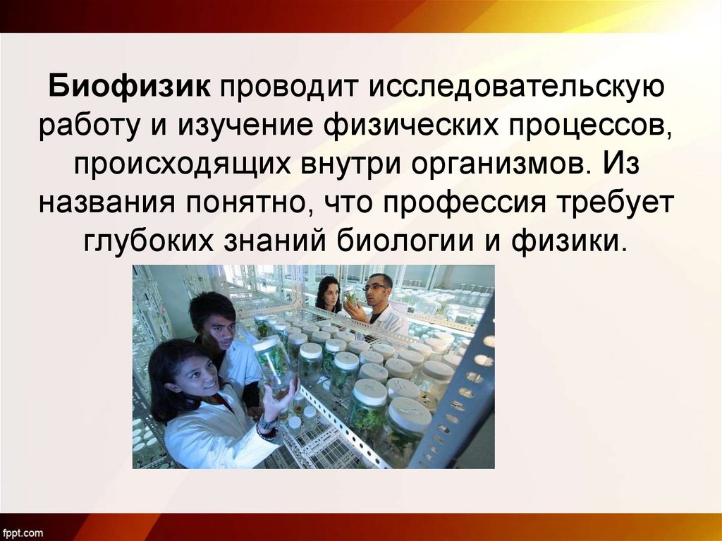 Биофизик проводит исследовательскую работу и изучение физических процессов, происходящих внутри организмов. Из названия