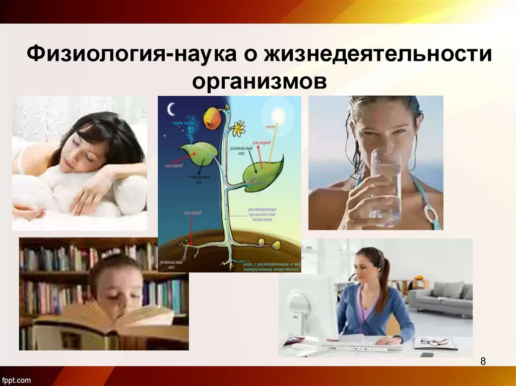 Физиология-наука о жизнедеятельности организмов