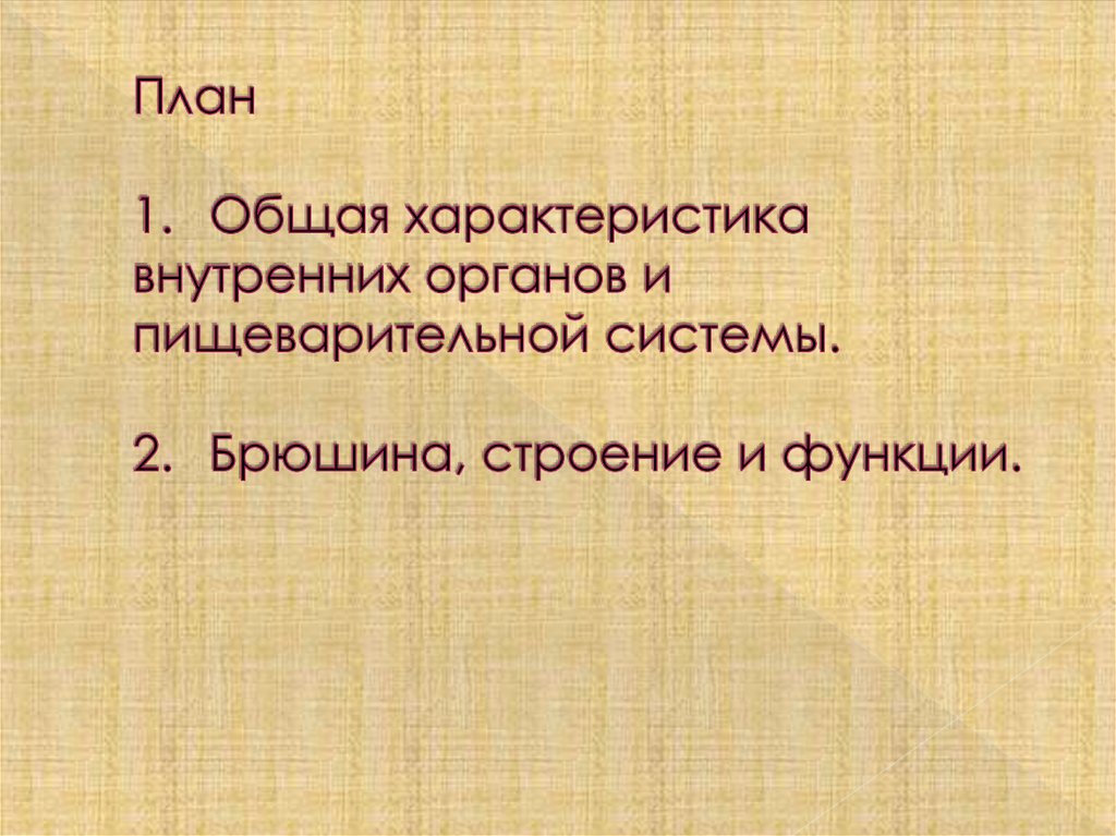 План 1. Общая характеристика внутренних органов и пищеварительной системы. 2. Брюшина, строение и функции.