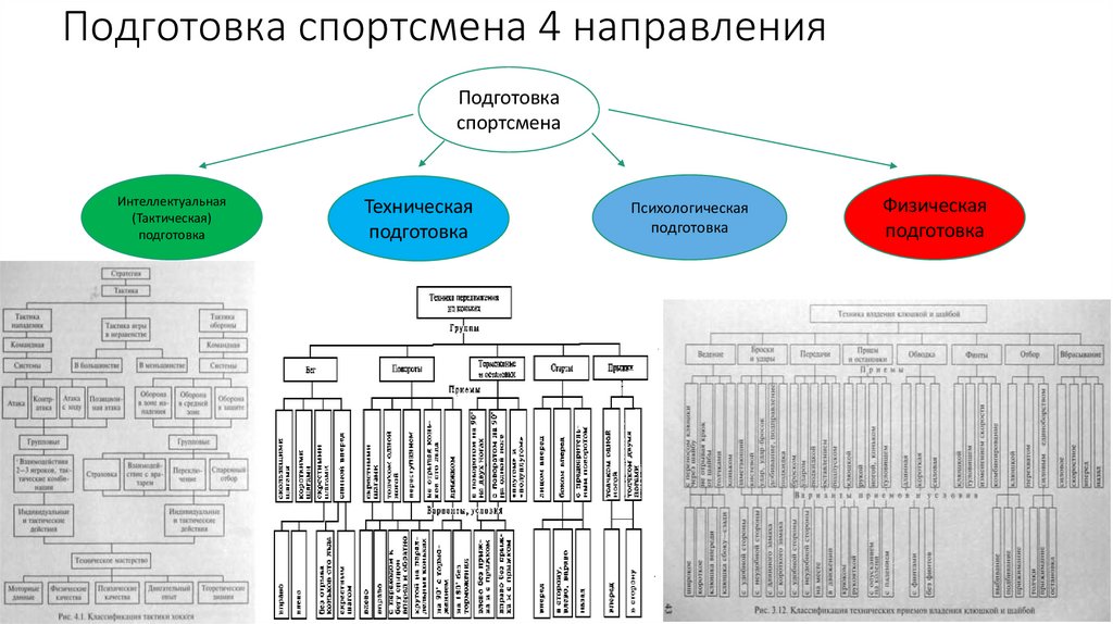 Подготовка спортсмена 4 направления