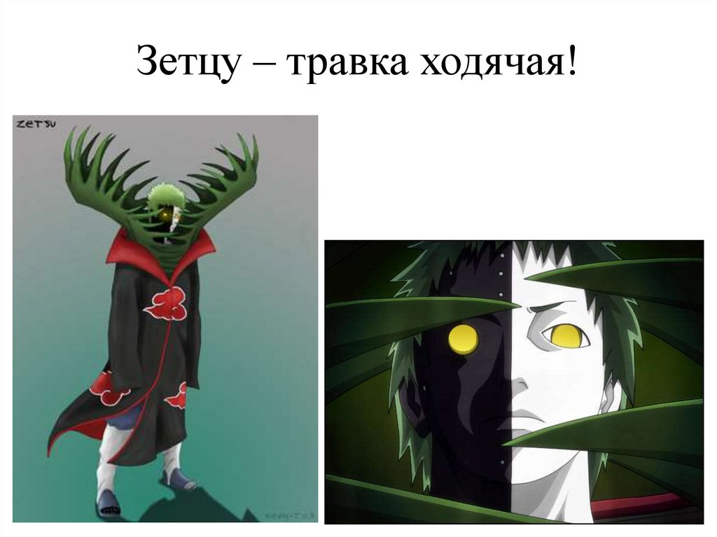 Зетцу – травка ходячая!