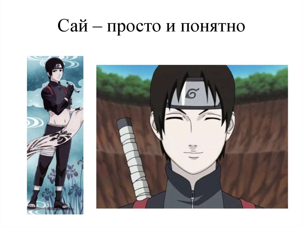 Сай – просто и понятно